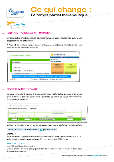 Guide Net-entreprises - Guide pour attestation TPT sur Net-entreprises
