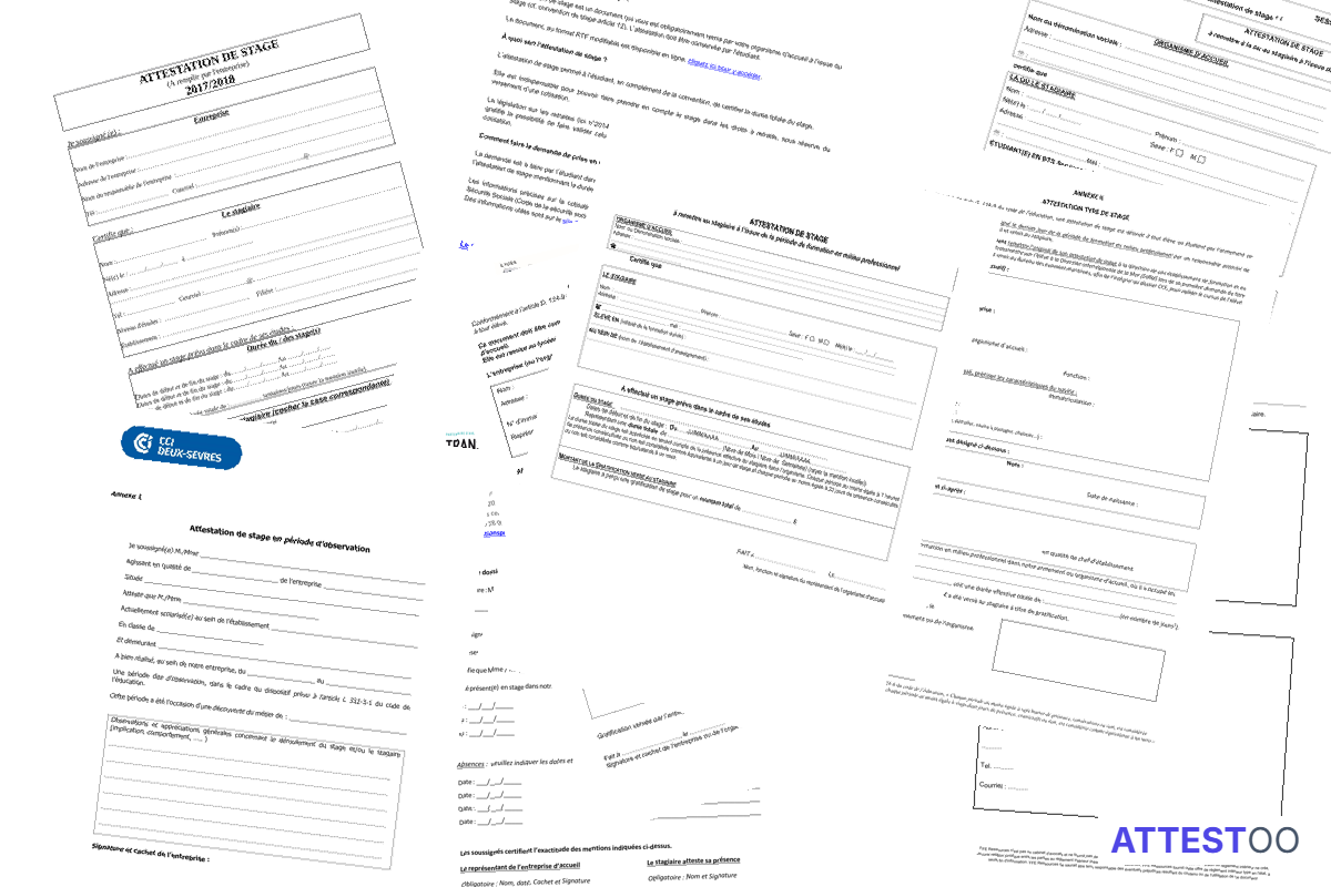 Modèle d'attestation de stage (certificat)