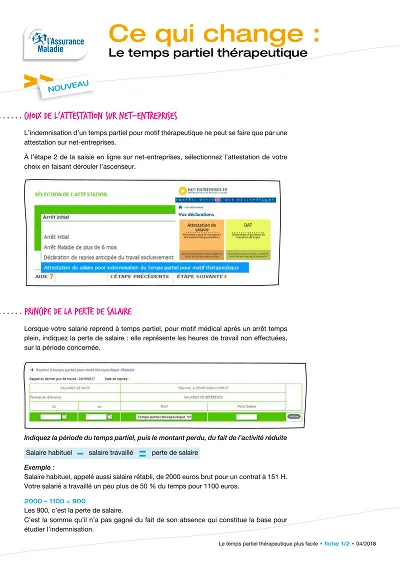 Guide Net-entreprises - Guide pour attestation TPT sur Net-entreprises
