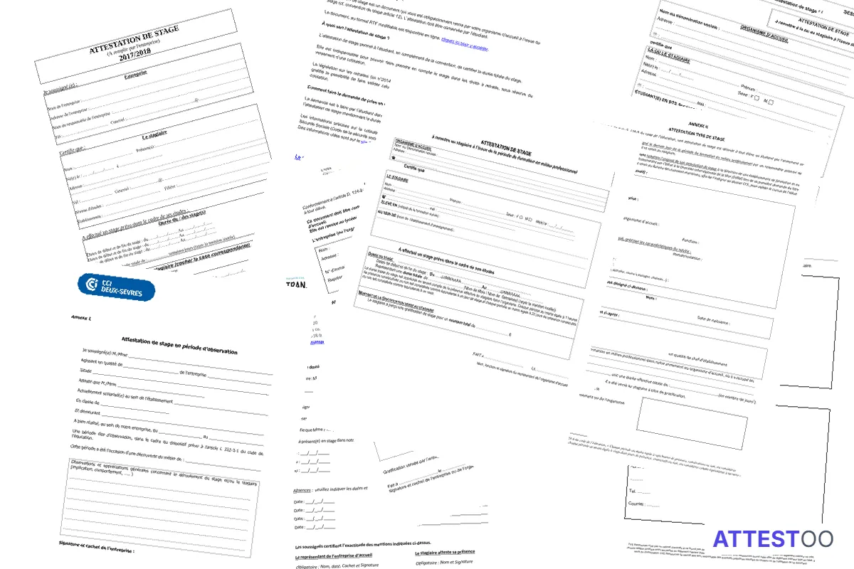 Modèle d'attestation de stage (certificat)